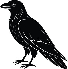 Fototapeta premium crow on a branch