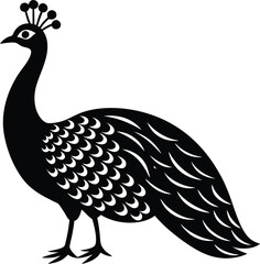 Fototapeta premium peacock vector illustration