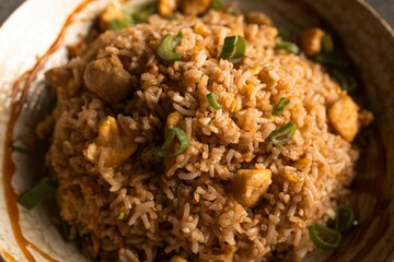 Delicious Chicken Fried Rice Close-up