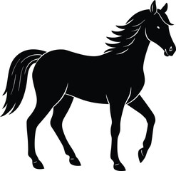 Obraz premium horse silhouette isolated on white