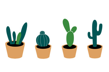 cactus in pots