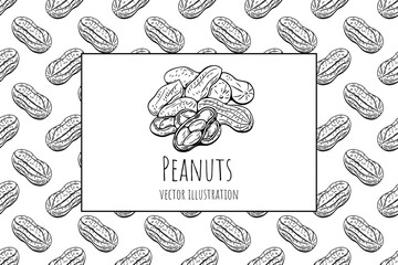 Seamless hand-drawn peanut pattern in black and white outline