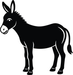 Fototapeta premium donkey isolated on white