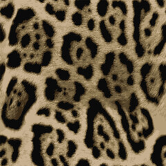 leopard fur texture