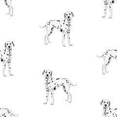 Dalmatian dog seamless pattern isolated. Hand-drawn watercolor dalmation repeated pattern for fabric, packaging paper design