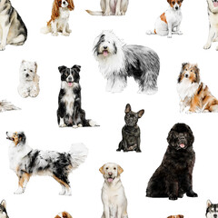 Dog breeds seamless pattern isolated. Hand-drawn watercolor repeated pattern: Australian Shepherd, Old English Sheepdog, Border Collie, Labrador, Sheltie pets for fabric, packaging paper design