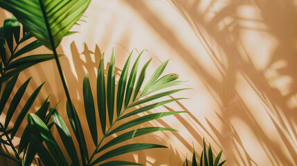 Tropical foliage creates shadows on a warm wall, evoking a sense of tranquility and connection to nature