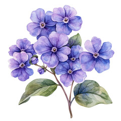 A watercolor painting of purple flowers with green leaves. The flowers are arranged in a bouquet and the overall mood of the painting is serene and calming
