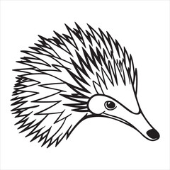 Echidna Spiny Anteater in Natural Habitat