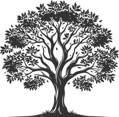 Obraz premium Winter Tree Without Leaves Vector