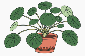 95 Pilea peperomioides, Chinese money plant, UFO plant, terracotta pot, green round leaves, houseplant, indoor plant, minimalist, clean background, botanical photography, soft lighting, vibrant green,