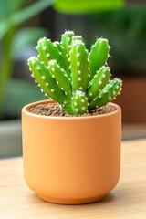 A vibrant green cactus with small white spines, potted in a light brown ceramic container, sits on a wooden surface