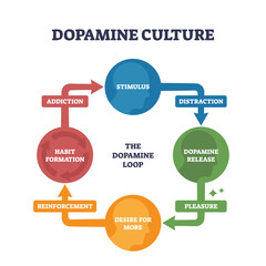 Dopamine culture is visualized as a cycle showing stimulus, dopamine release, pleasure, desire, and addiction. Key objects, circles, arrows, text. Outline diagram