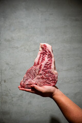 t-bone steak , Bistecca alla Fiorentina