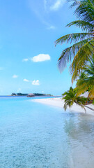 Tropical white sand beach with calm turquoise water and palm trees under blue sky, serene atmosphere for summer travel, hotel, resort, family vacation