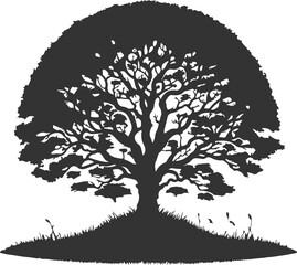 Obraz premium Nature Scene Tree Silhouette on White