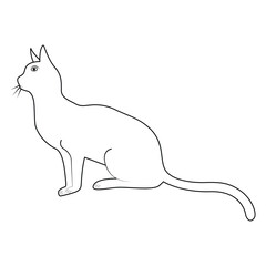  cat silhouette vector illustration outline