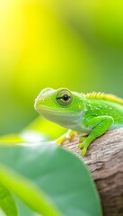 Fototapeta premium Vibrant green lizard perched on a branch amidst lush foliage, bathed in sunlight