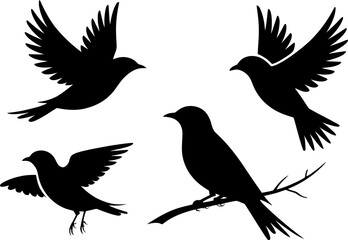 Fototapeta premium Adobe Illustrator Artwork