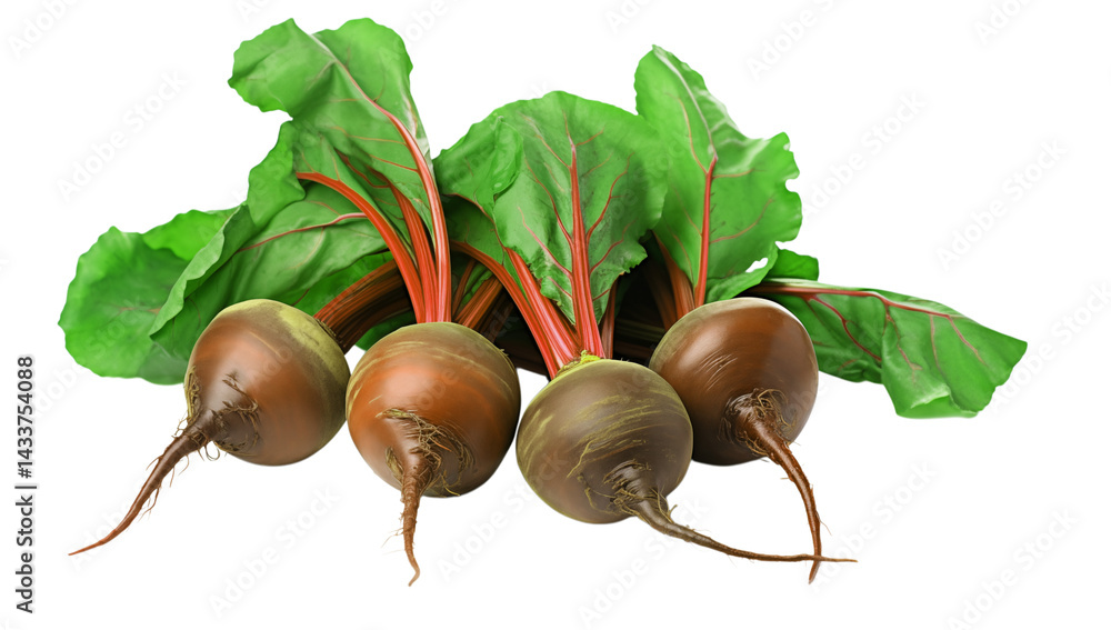 Poster a group of four beets with green leaves and red stems on a transparent background in a studio settin