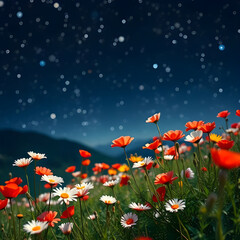 poppy flowers and blue sky