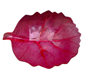 pink leaf shaped bowl isolated on transparent background