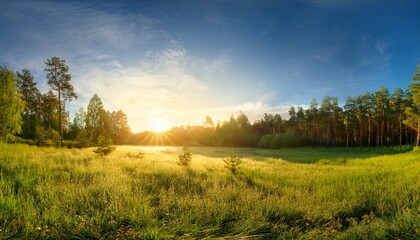 Obraz premium panorama landscape with sun and forest and meadow at sunrise