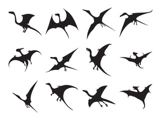 Obraz premium Set of pterosaurs silhouette