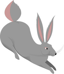 Grey and pink hare in cartoon style. 