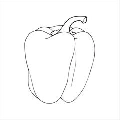 Bell Pepper Black and White Line Art Illustration,Hand Drawn Bell Pepper Outline Drawing,Simple Bell Pepper Sketch for Coloring,Realistic Bell Pepper Line Art Vector,Vegetable Bell Pepper Black