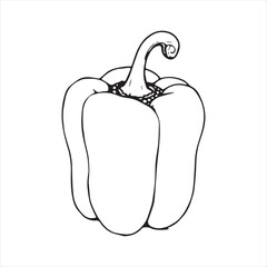 Bell Pepper Black and White Line Art Illustration,Hand Drawn Bell Pepper Outline Drawing,Simple Bell Pepper Sketch for Coloring,Realistic Bell Pepper Line Art Vector,Vegetable Bell Pepper Black