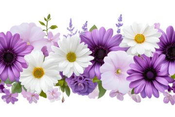Purple daisy flower on a transparent background PNG
