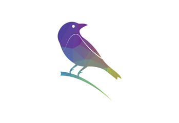 Low poly with colorful bird logo design, Vector design Template