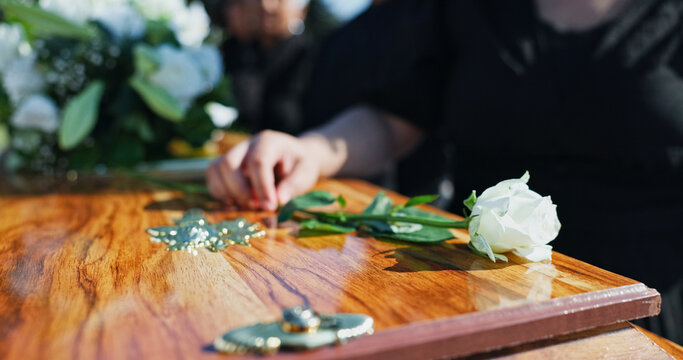 Coffin, flower and hand at memorial with respect, grief or loss at family service for burial. Person, mourning and grieving relative with white rose on casket for remembrance at funeral at graveyard.