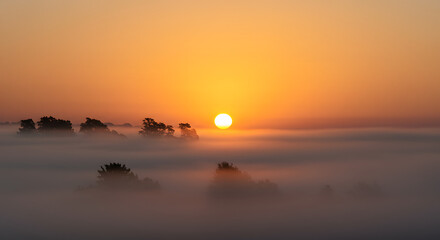 Sunrise Through Fog Over Trees Golden Light Early Morning