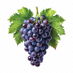 Fototapeta premium abstract 3d fresh bunch grapes in different style isolated on white background