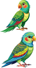 Vector dove, sparrown, woodspecker and parakeet bird icon set design 