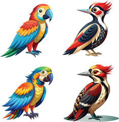 Vector dove, sparrown, woodspecker and parakeet bird icon set design 