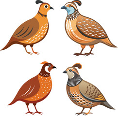 Vector dove, sparrown, woodspecker and parakeet bird icon set design 