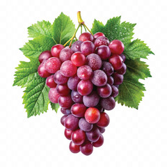 abstract 3d fresh  bunch grapes in different style isolated on white background