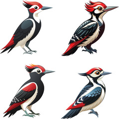 Vector dove, sparrown, woodspecker and parakeet bird icon set design 