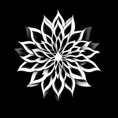Abstract White Flower Design On Black Background