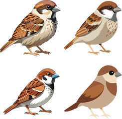 Vector dove, sparrown, woodspecker and parakeet bird icon set design 