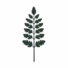 Detailed Dark Green Leaf Silhouette