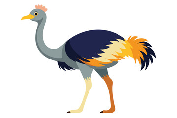 Ostrich isolated illustration on white background.
