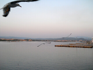 Island Sardinia. Beautiful sea view.