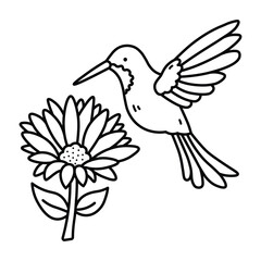 Obraz premium Woodland Escape Coloring Book, bold and easy coloring pages, animals line art, Cute Humingbird With Sunflower, Vector Art, 