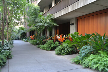 Fototapeta premium Before and after transformation of a garden showcasing vibrant flowers and lush greenery in a residential backyard