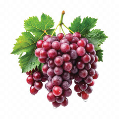 Fototapeta premium abstract 3d fresh bunch grapes in different style isolated on white background