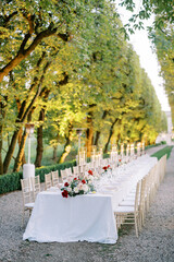 Laid table with bouquets of flowers and lit candles stands in the park